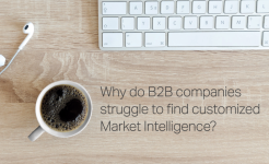 B2B Market Intelligence