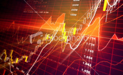 Finance-Data1